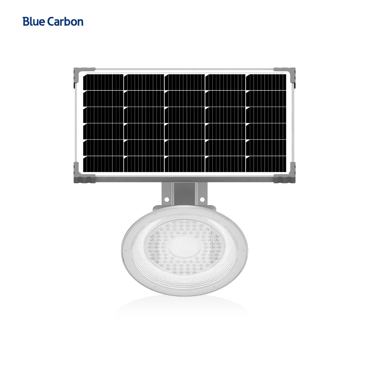 Blue C Garden Solar Light